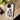 Jesus is My Lord and King Christian Tough Phone Case