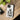 Jesus is My Lord and King Christian Tough Phone Case iPhone 15 Glossy