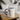 Faith Culture - Proverbs 31:29 - Christian Accent Coffee Mug (11oz) Blue 11oz
