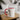 Faith Culture - Proverbs 31:29 - Christian Accent Coffee Mug (11oz) Red 11oz