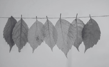 How to Navigate Life’s Seasons with Faith?