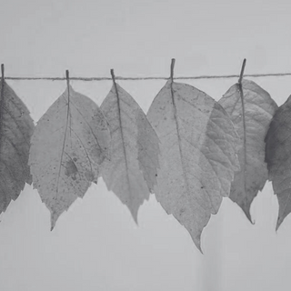 How to Navigate Life’s Seasons with Faith?